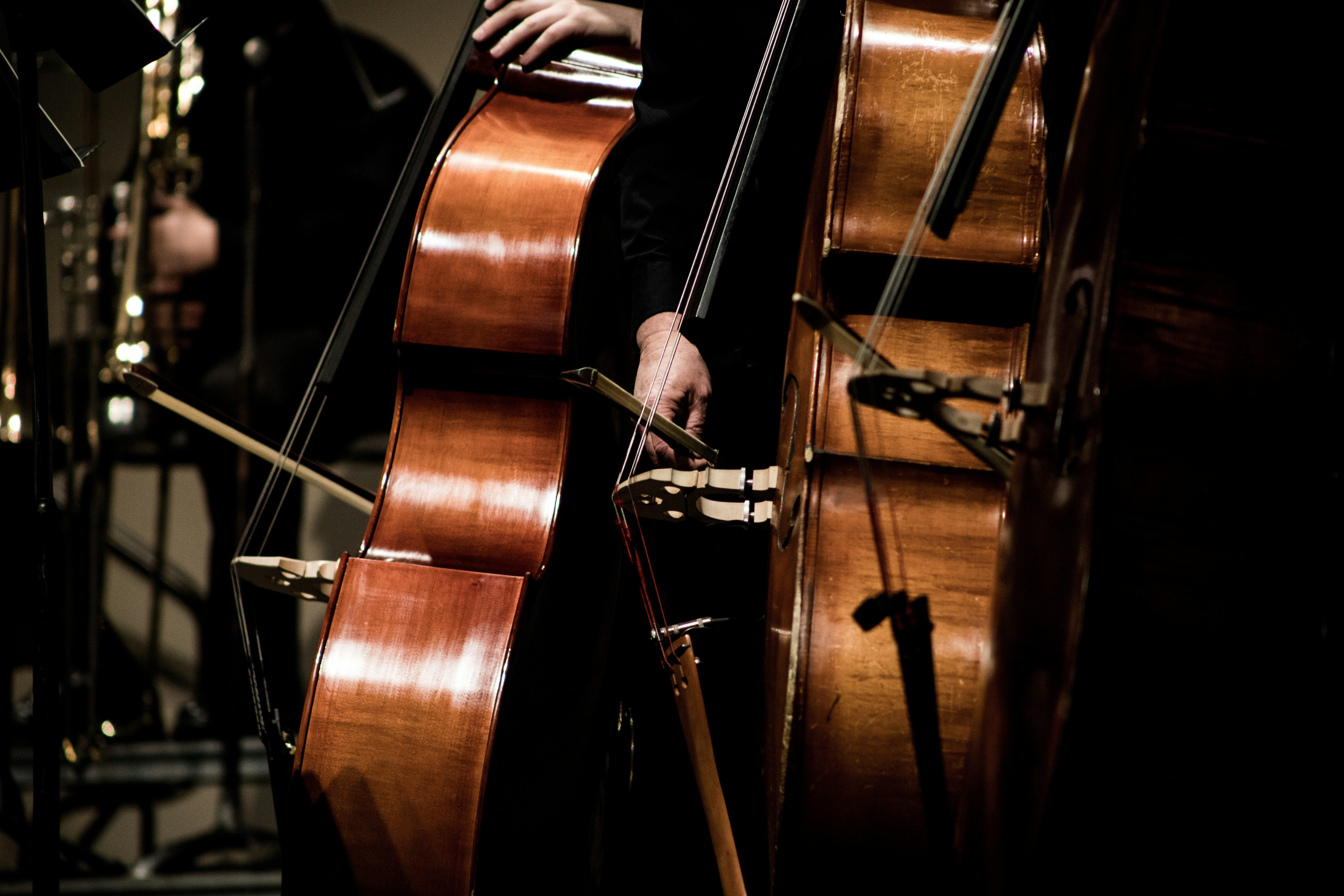 Музыка аниме: Sinteza Orchestra