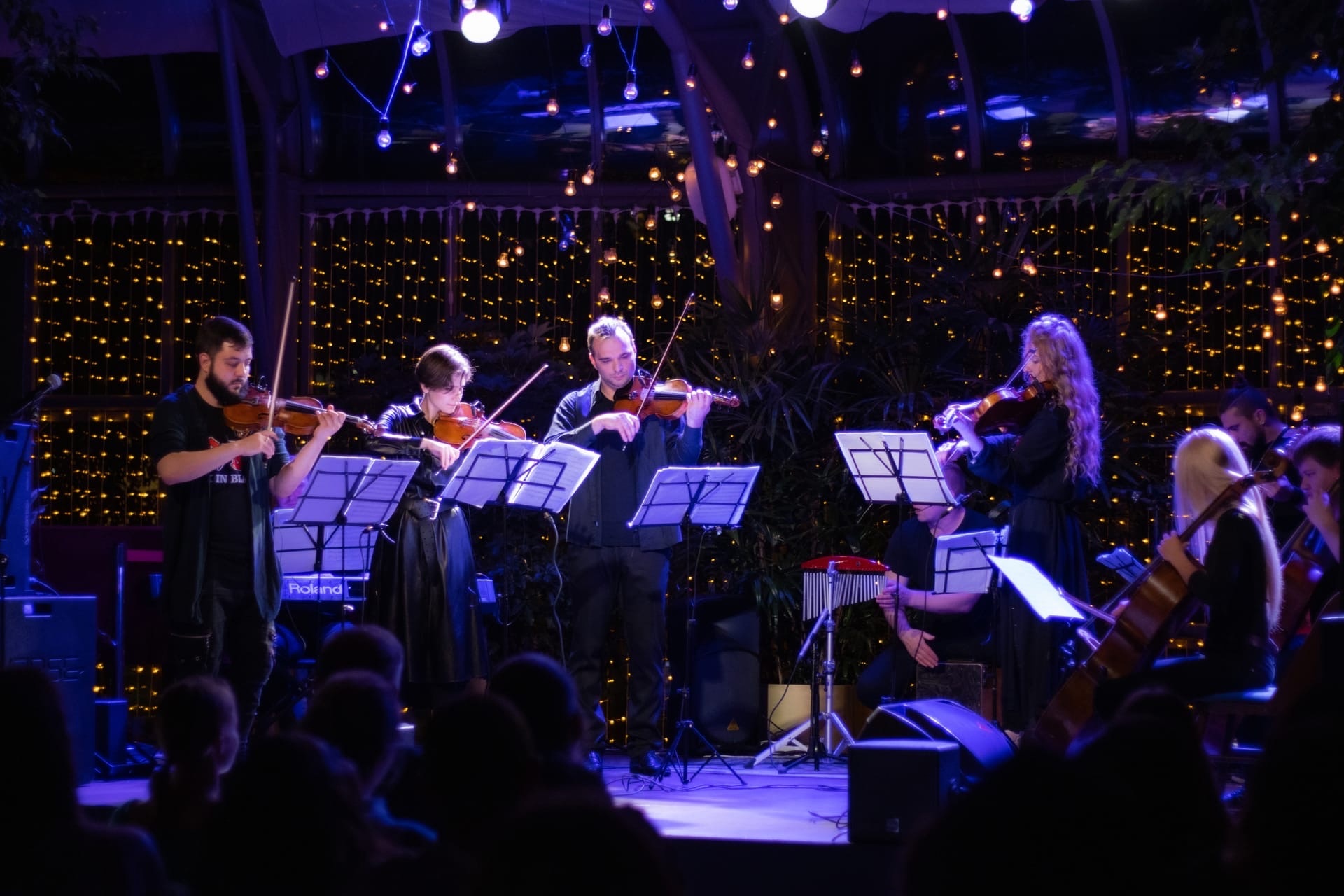 HighTime Orchestra. Симфония Гарри Поттер